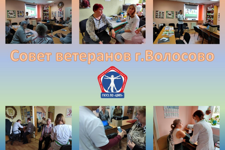 Школа здоровья для ветеранов Волосовского муниципального района